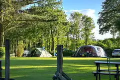 Electric grass pitches with 10 amp hook ups
