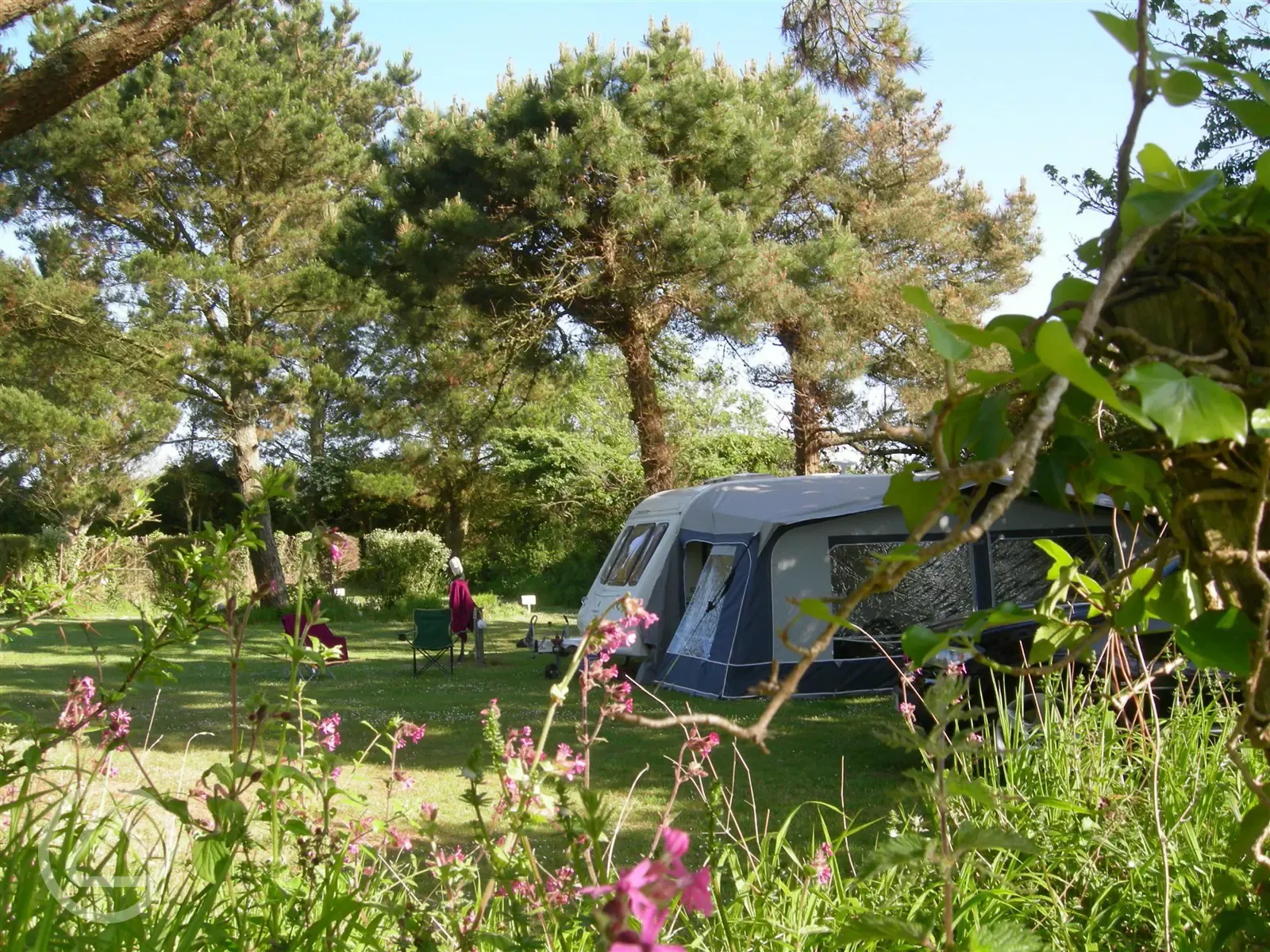 Serviced grass touring pitches