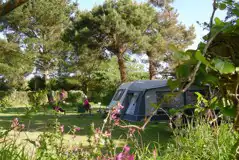 Serviced grass touring pitches