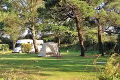 Electric grass pitches with 10 amp hook ups