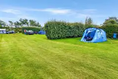 Non electric grass pitches with hedges for privacy Non electric grass pitches with hedges for privacy