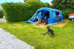 Serviced grass pitches - dog friendly