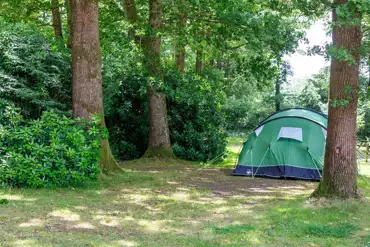 Non electric grass pitches at Alpine Grove Touring Park