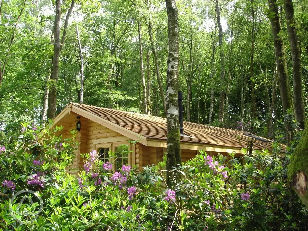 Scandinavian log cabins