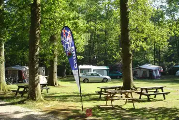 Grass pitches surrounded by trees at Alpine Grove Touring Park