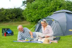 Grass pitches