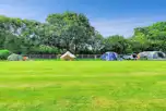 Grass pitches backed by a fence