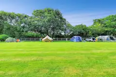 Grass pitches backed by a fence