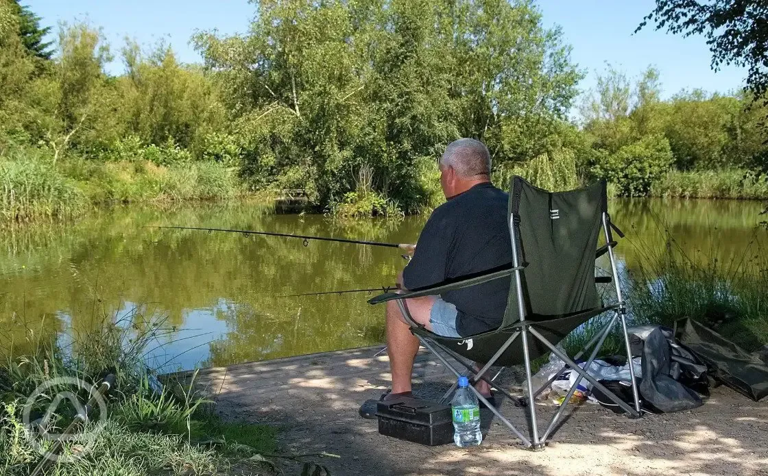 Coarse fishing at Cofton Holidays