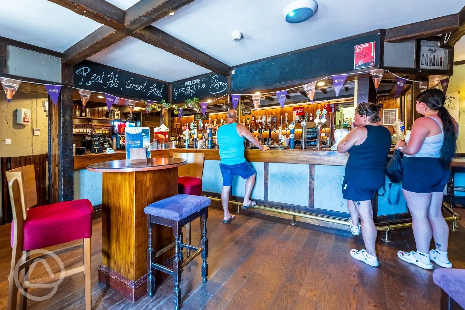 The Swan pub (dog friendly) 