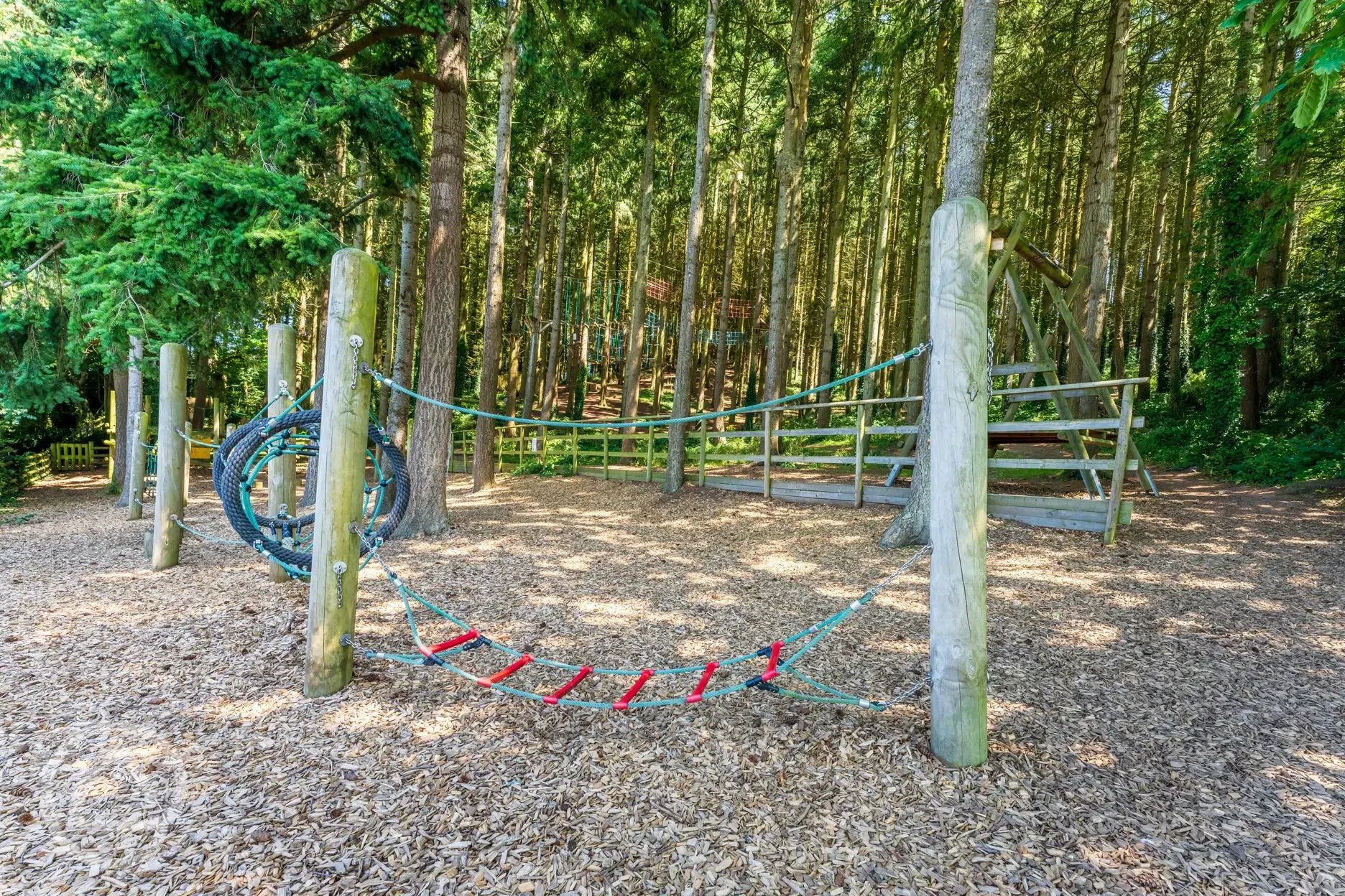 Woodland play area at Cofton Holidays