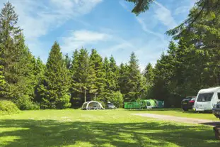 Forest Glade Holiday Park, Cullompton, Devon