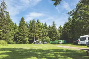 Forest Glade Holiday Park, Cullompton, Devon (14.7 miles)