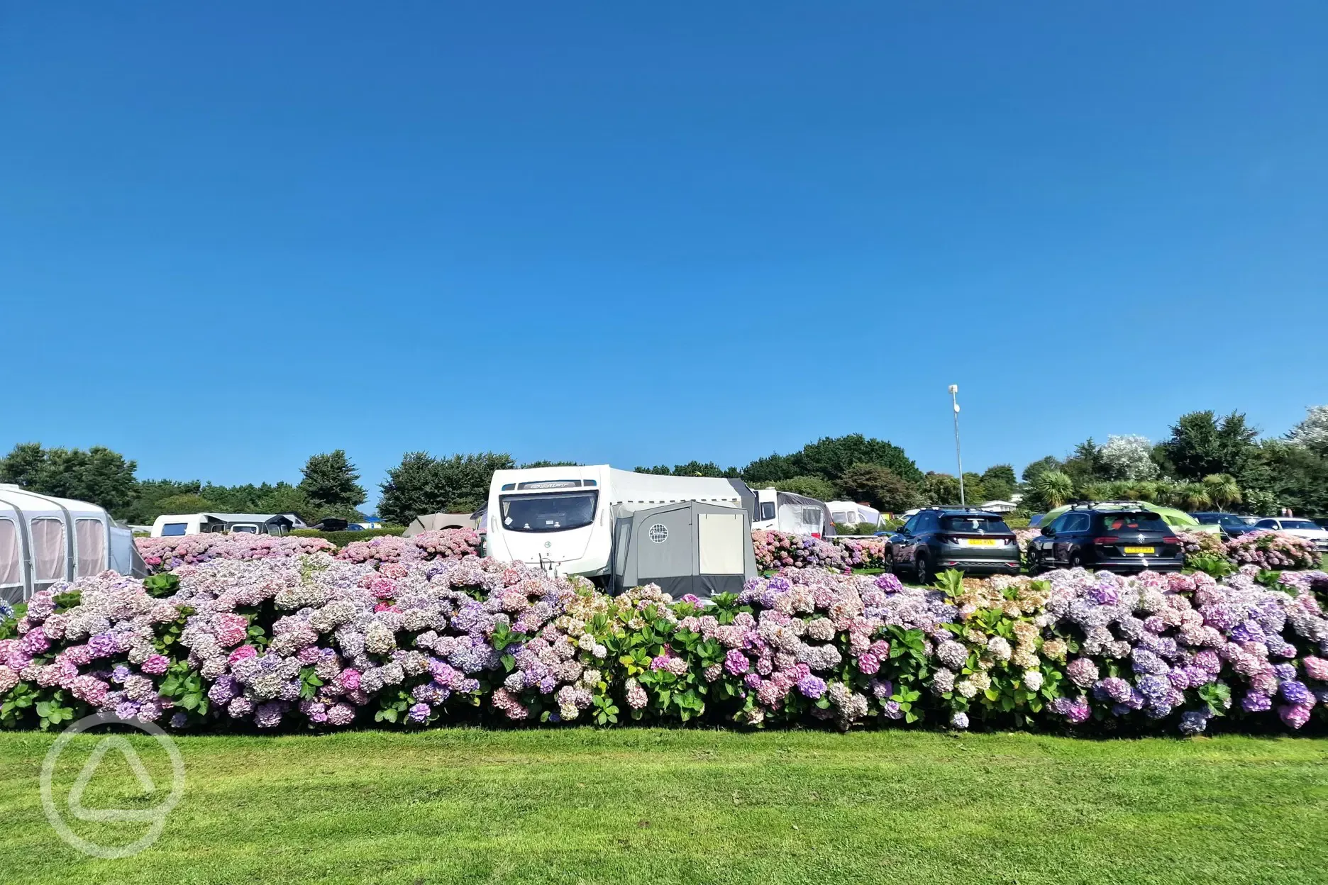 Grass pitches for tourers