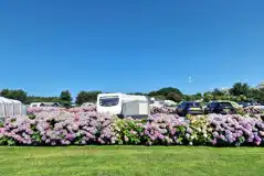 Grass pitches for tourers