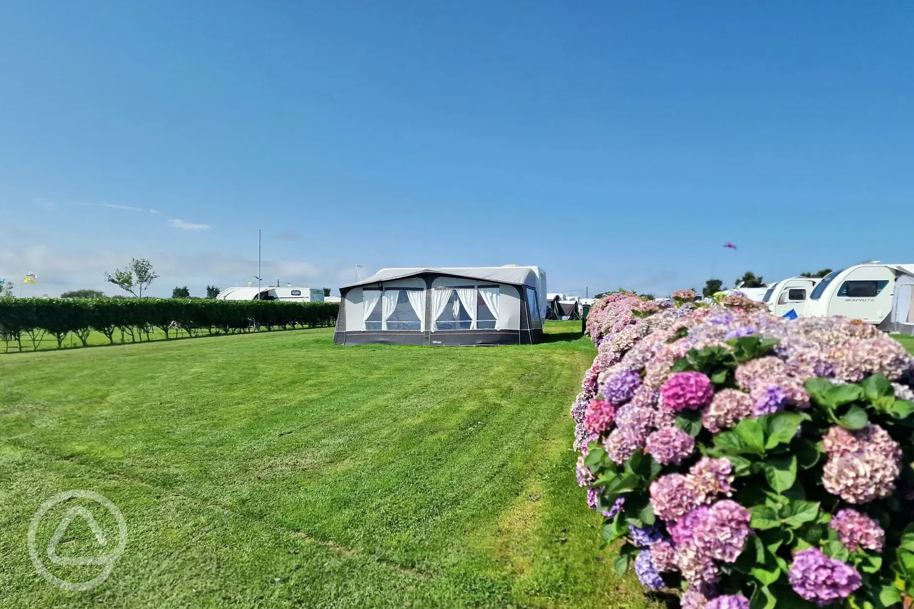 Grass pitches boarded by hedges