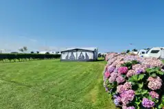 Grass pitches boarded by hedges