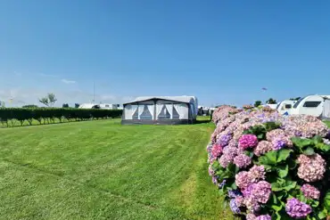 Grass pitches bordered by hedges and planting