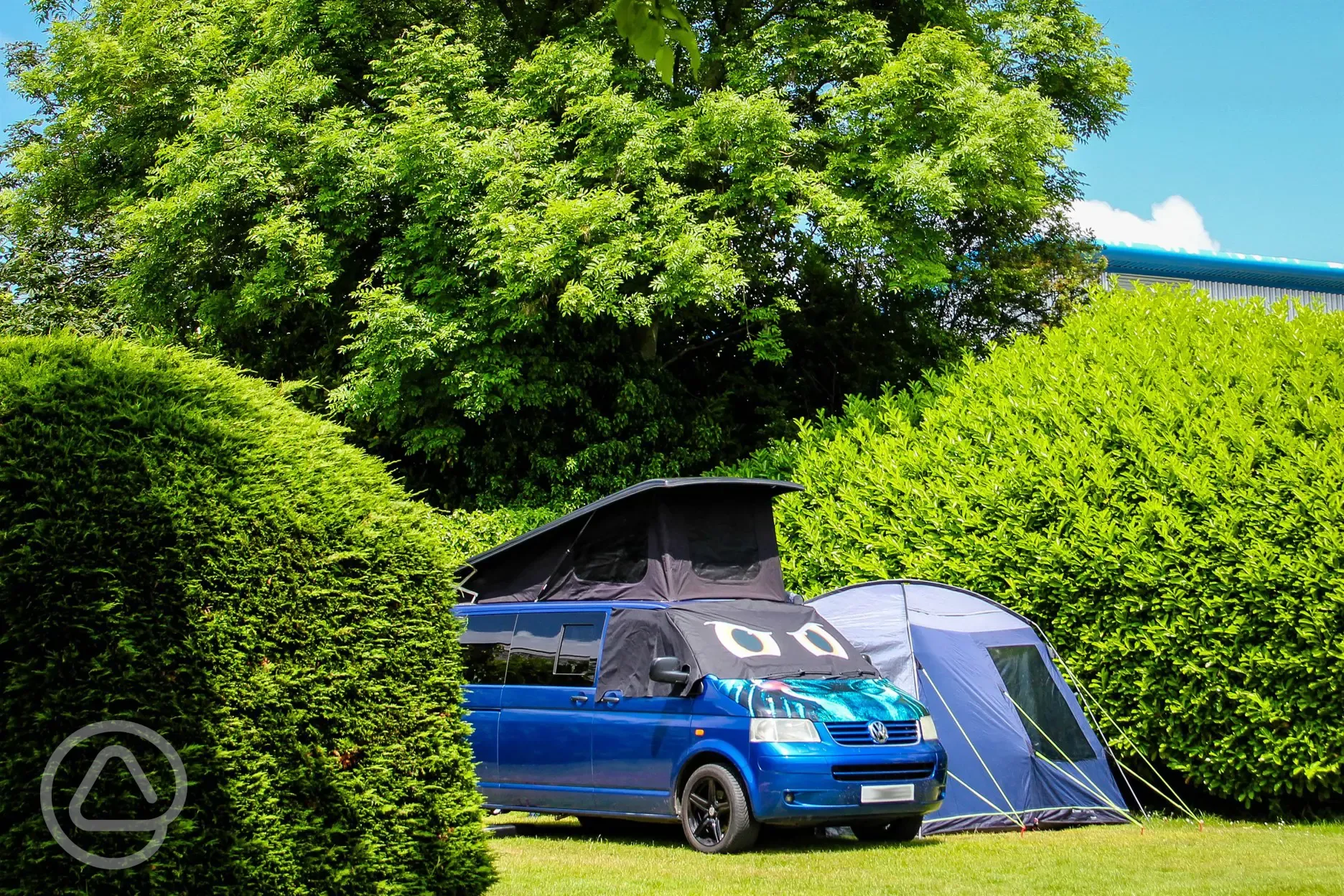 Tent and touring pitches boarded by hedges