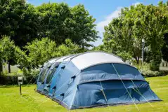 Electric grass pitches