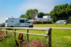 Electric grass pitches