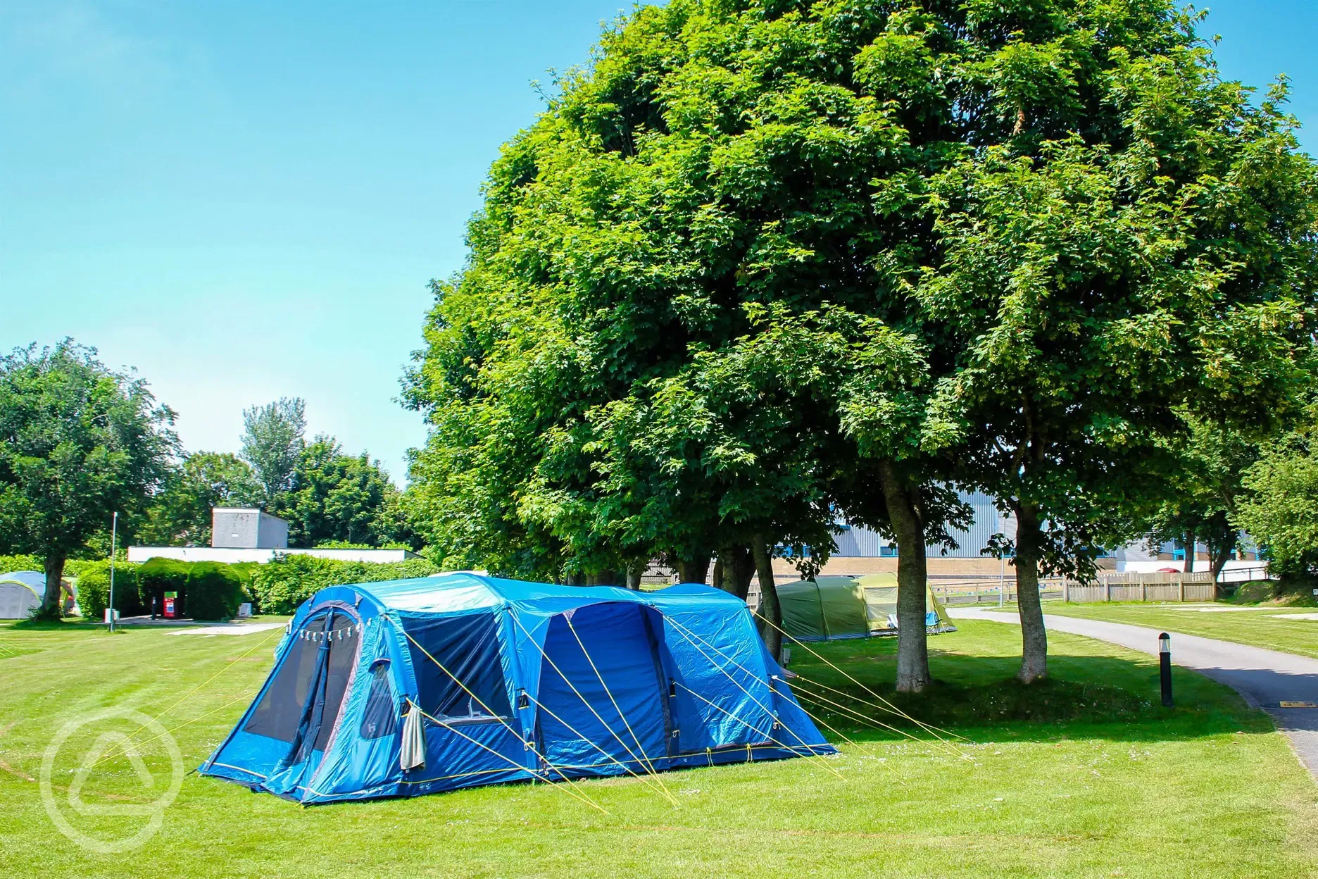 Grass pitches shaded by trees