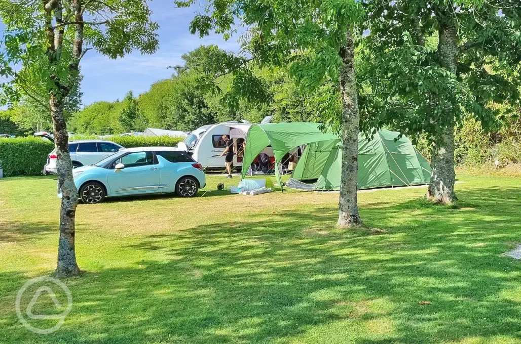 Standard electric all weather pitches