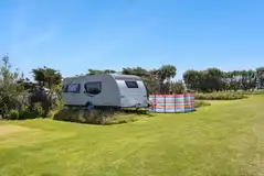 Premium fully serviced grass pitches with optional electric (10m x 11m)