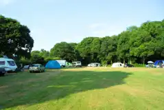 Overview of the grass pitches (non electric and 16 amp options)
