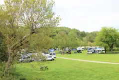 Overview of the grass pitches (non electric and 16 amp options)