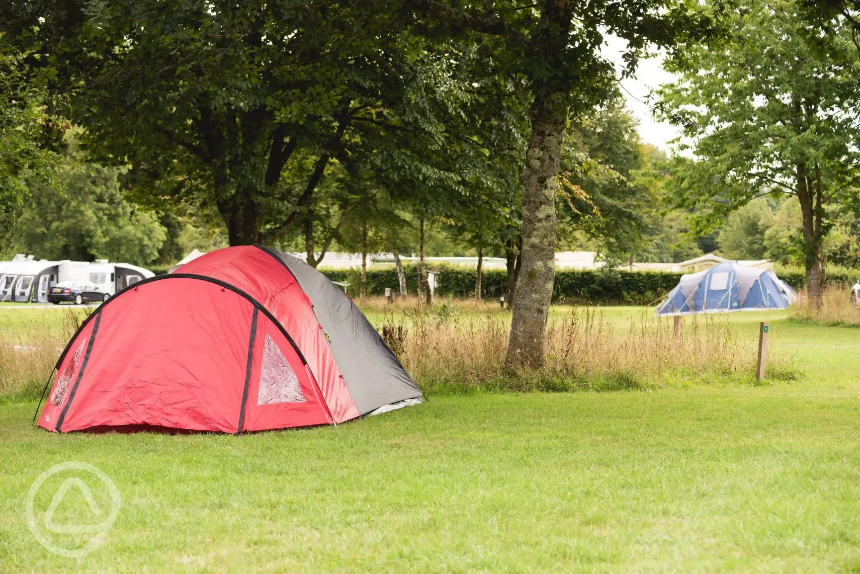Grass pitch with tent