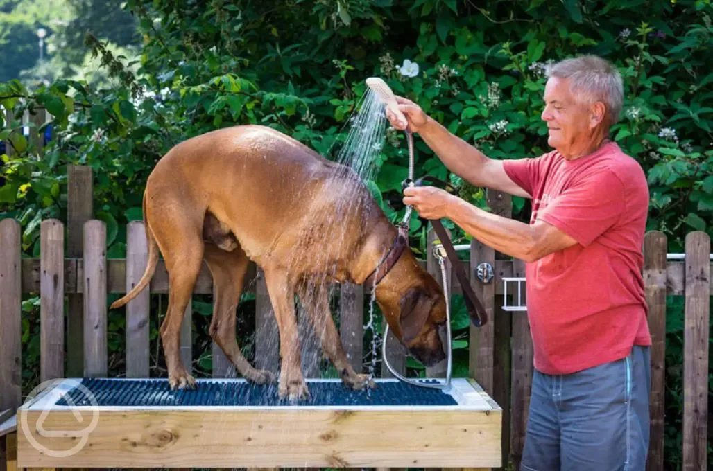 Dog wash