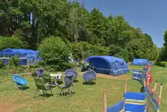 Grass pitches Grass pitches