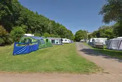 Grass pitches surrounded by trees