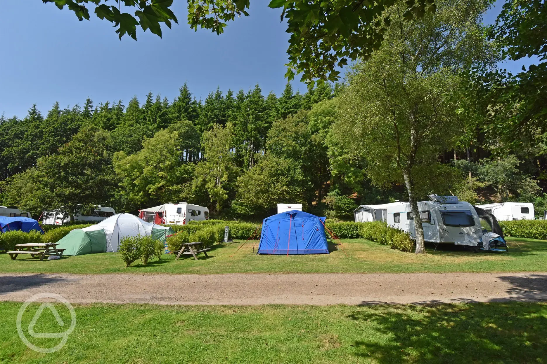 Grass pitches