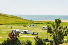 Electric grass pitches (main field)