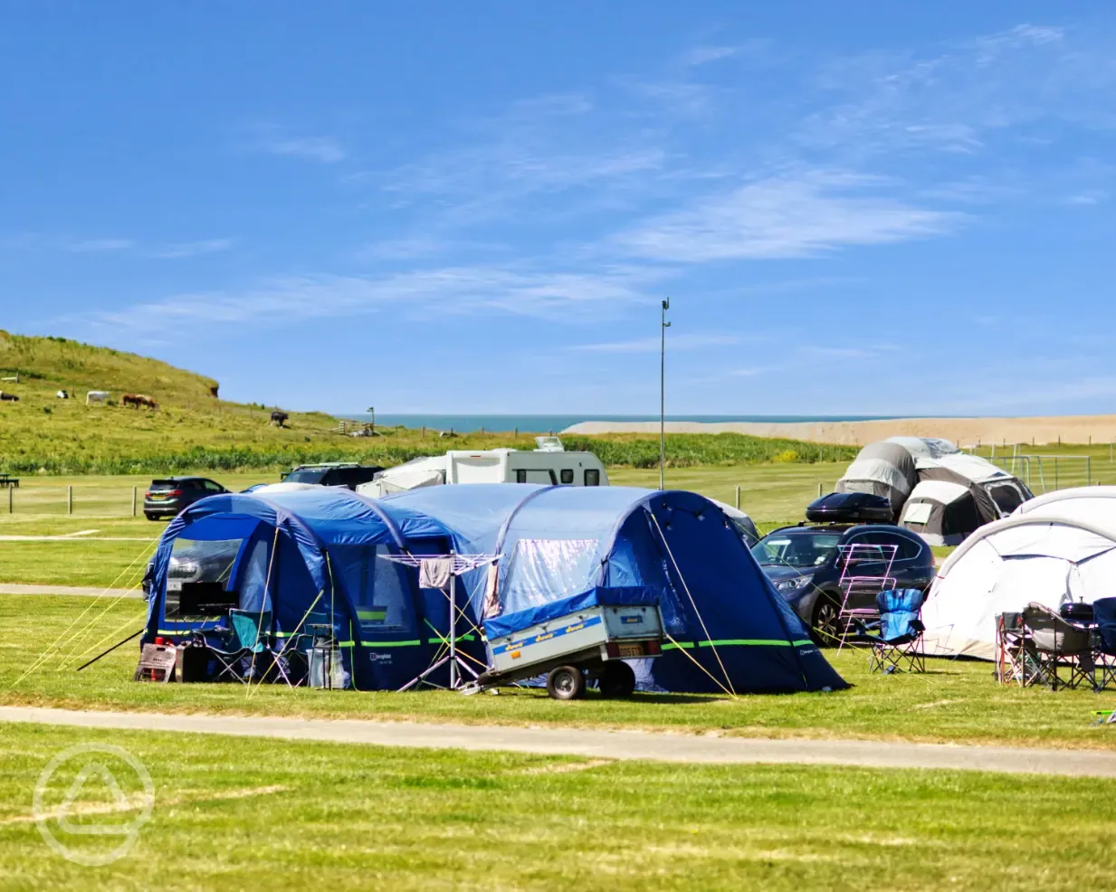 Electric grass pitches (main field)