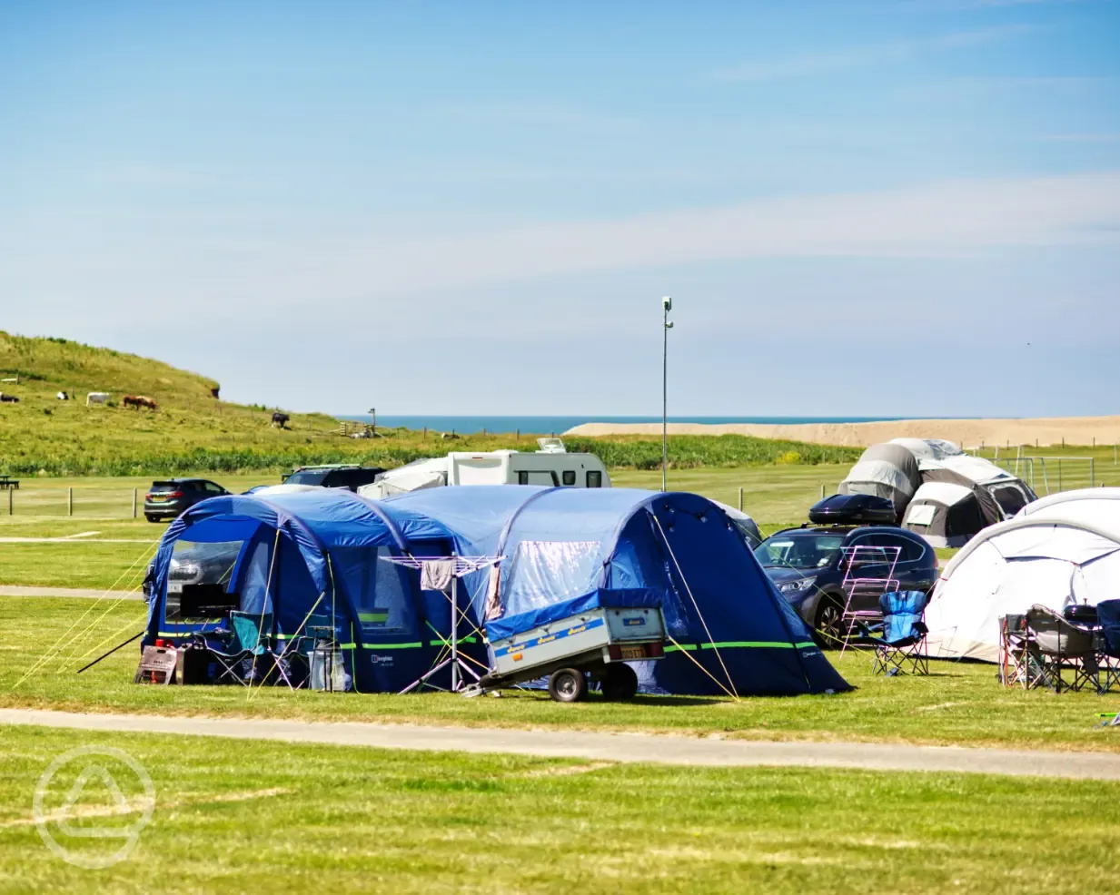 Electric grass pitches (main field)