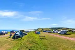 Electric grass pitches