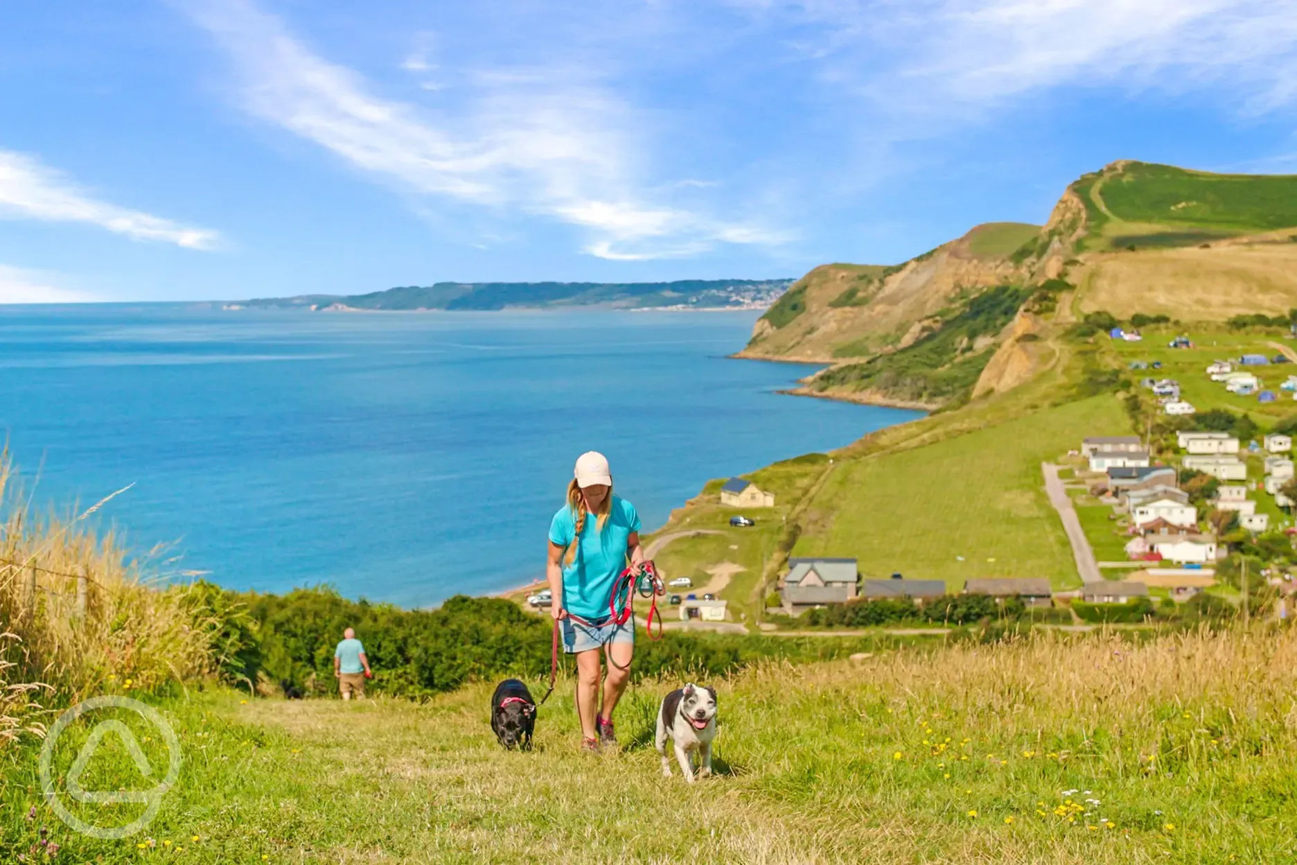 The dog exercise meadow 