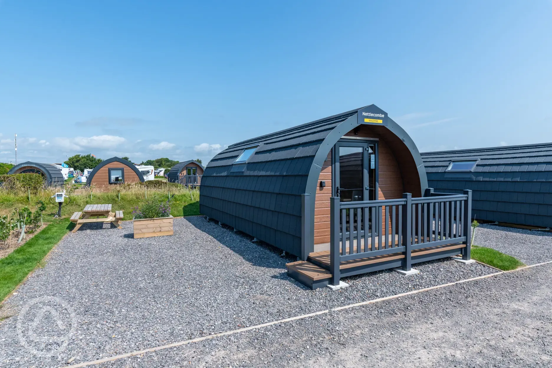 Gold glamping pods (4 person)