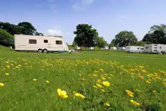 Hardstanding touring pitches Hardstanding touring pitches