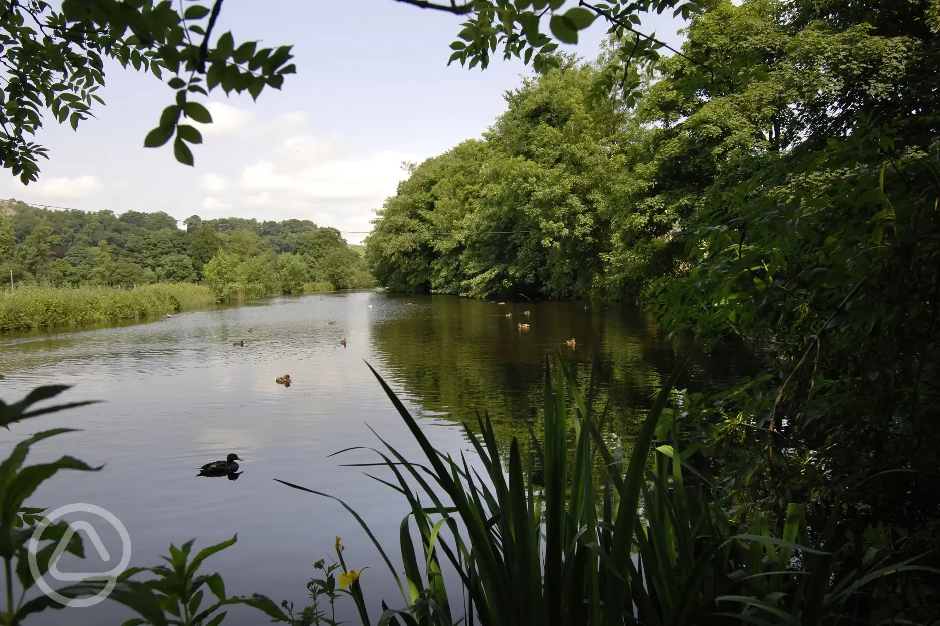 Mill pond