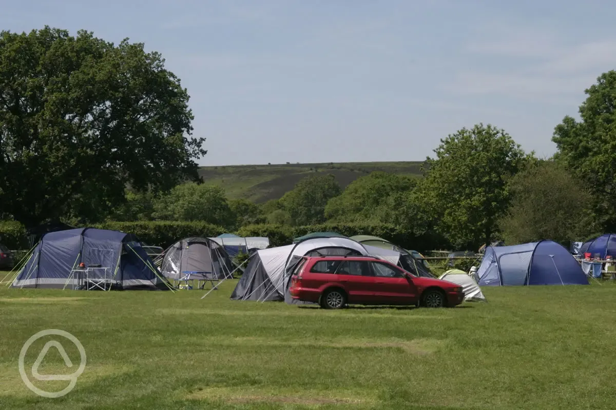 Pitches at Red Shoot Camping Park