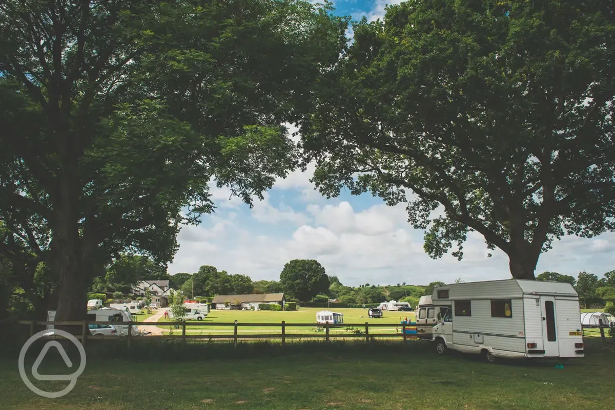 Shady caravan pitches Red Shoot Camping Park Ringwood