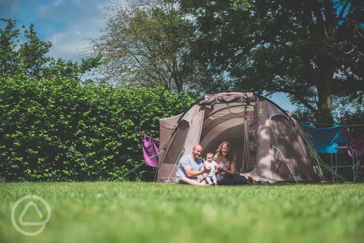 Camping tent at Red Shoot Camping Park