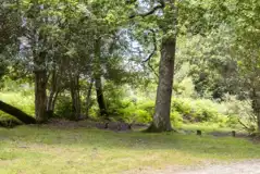 Non electric grass pitches (8m x 5m) Non electric grass pitches (8m x 5m)