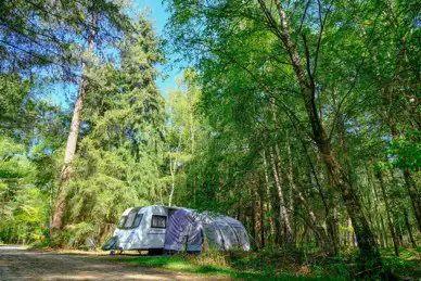 Setthorns Campsite Setthorns Campsite