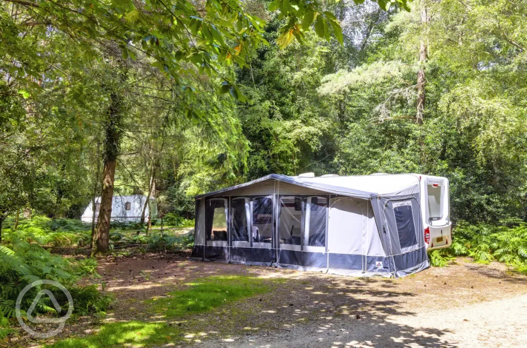 Electric hardstanding pitches (8m x 5m)