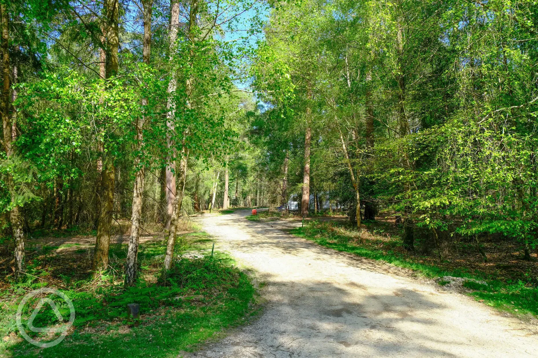Path to pitches at Setthorns Campsite